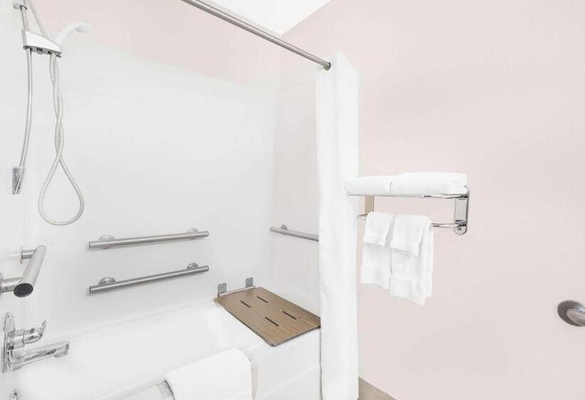 适合残疾人使用的标准间, Microtel Inn & Suites By Wyndham Colfax