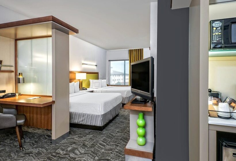 Studio Standard, Springhill Suites By Marriott San Antonio Airport