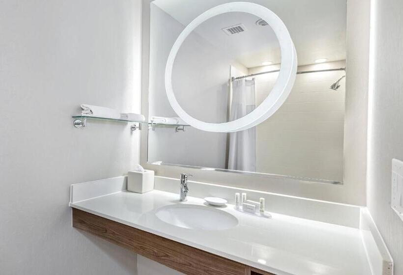 Studio Standard Lit King Size, Springhill Suites By Marriott San Antonio Airport