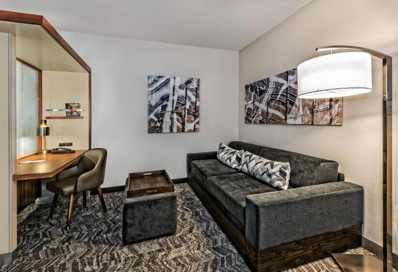 Studio Standard, Springhill Suites By Marriott San Antonio Airport