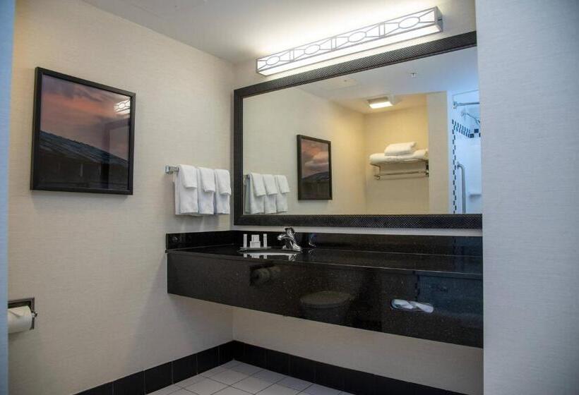 Студио Стандарт Кровать Кинг, Fairfield Inn & Suites Lewisburg