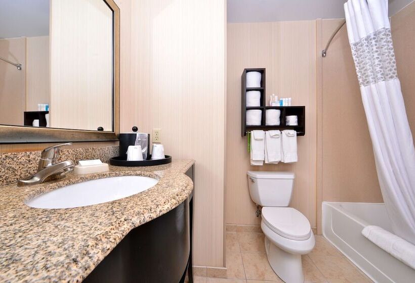 Люкс, Hampton Inn Pecos