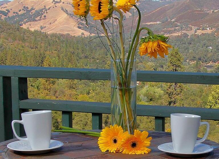 Люкс Вид на Бассейн, Bella Vista Bed And Breakfast