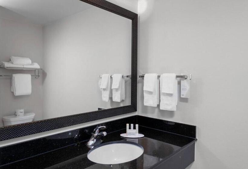 Номер Стандарт, Fairfield Inn & Suites By Marriott Wichita Downtown