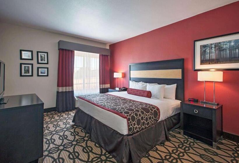 Номер Deluxe Адаптированный для Инвалидов, La Quinta By Wyndham Leesville Ft. Polk