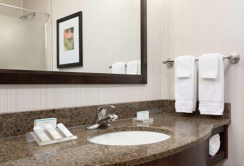 Полулюкс, Hilton Garden Inn Stony Brook