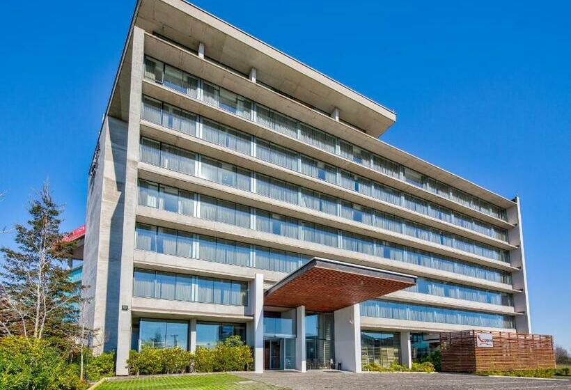 Номер Стандарт Адаптированный для Инвалидов, Wyndham Concepcion Pettra