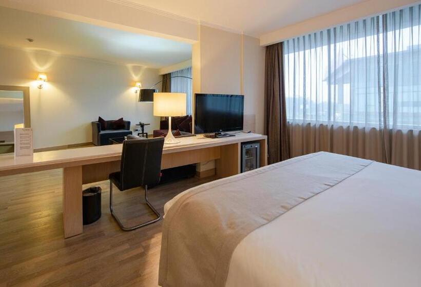 Президентский Люкс, Wyndham Concepcion Pettra