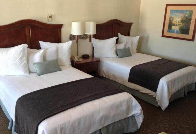 Номер Стандарт 2 Двуспальные Кровати, Holiday Hill Inn & Suites