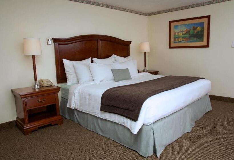 Люкс 2 Спальни, Holiday Hill Inn & Suites