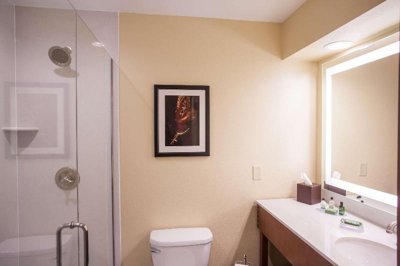 キングサイズベッドのスイートルーム, Quality Inn & Suites Belmont Route 151