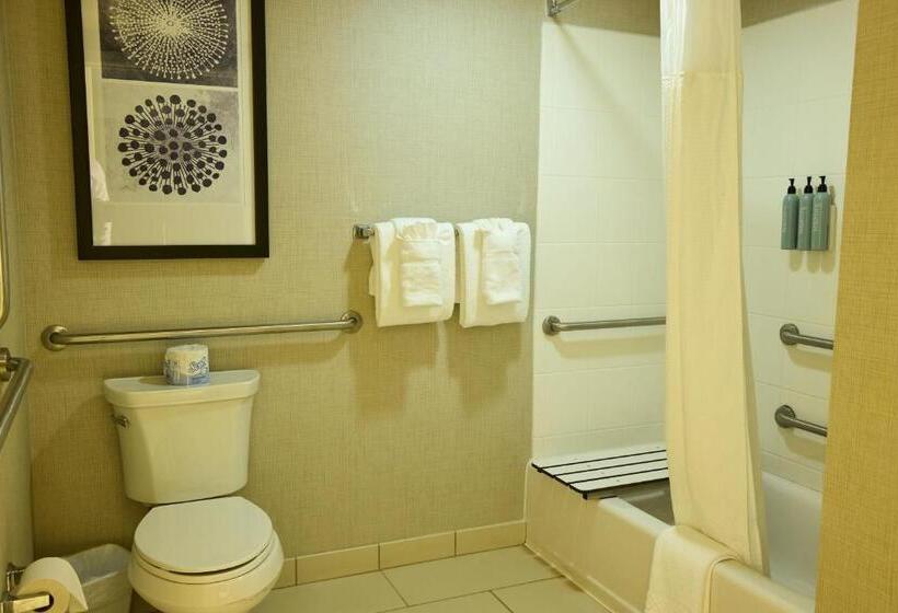Люкс Кровать Кинг, Residence Inn By Marriott Columbia Northwest/harbison