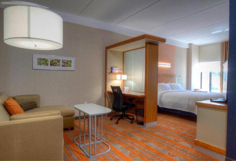 Люкс Кровать Кинг, Springhill Suites By Marriott Deadwood