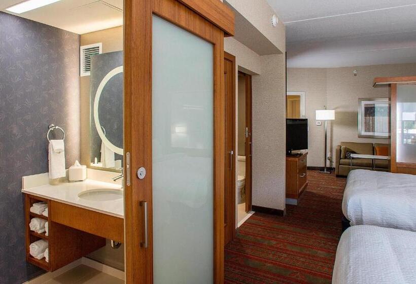 Люкс, Springhill Suites By Marriott Deadwood
