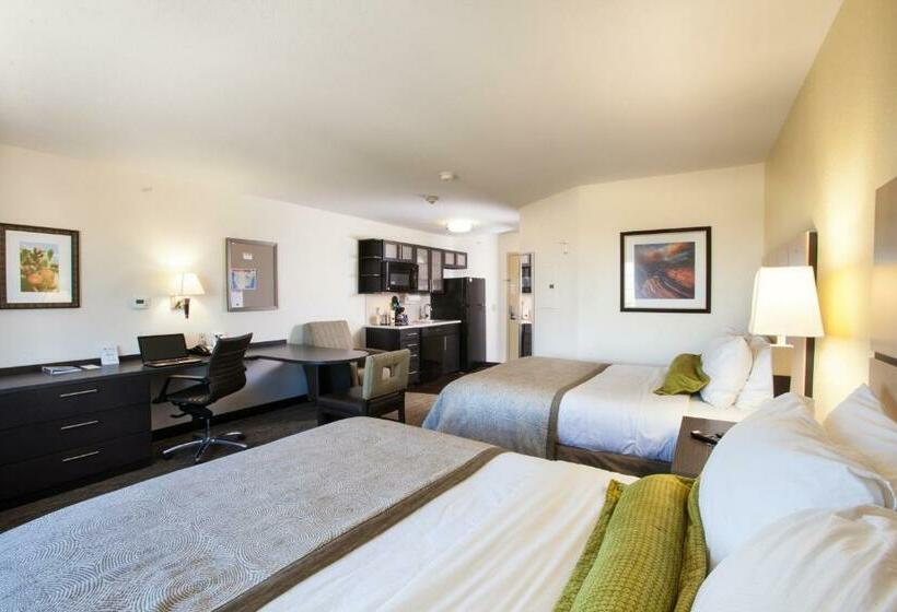 标准工作室, Candlewood Suites New Braunfels, An Ihg