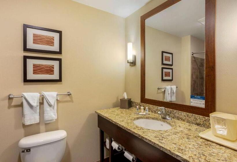 带大床的套房, Comfort Inn & Suites Sayre