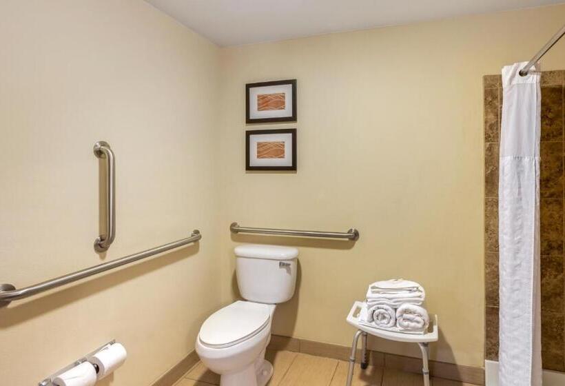 スタンダードルーム, Comfort Inn & Suites Sayre