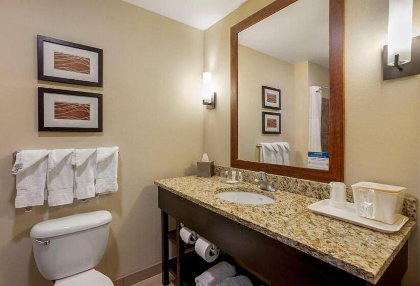 スタンダードルーム, Comfort Inn & Suites Sayre