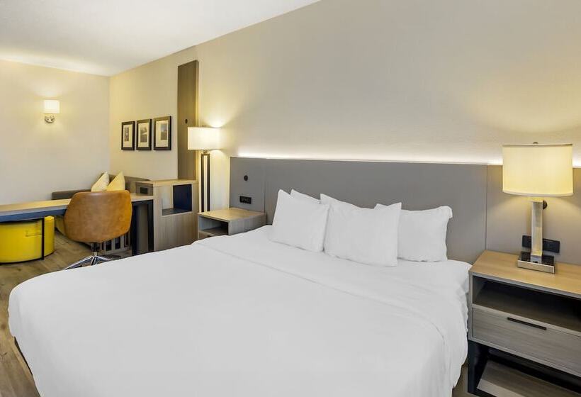 スイート, Comfort Inn & Suites Sayre
