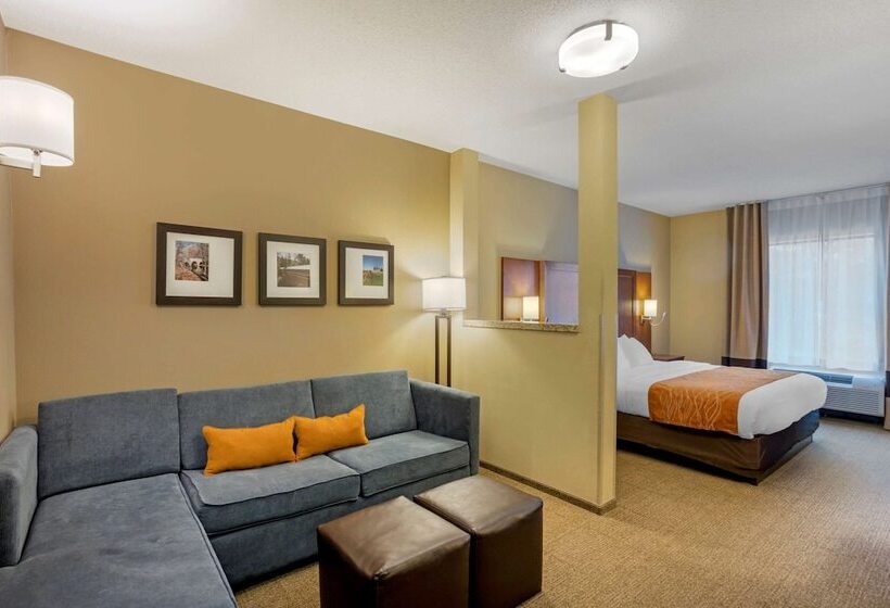 套房, Comfort Inn & Suites Sayre