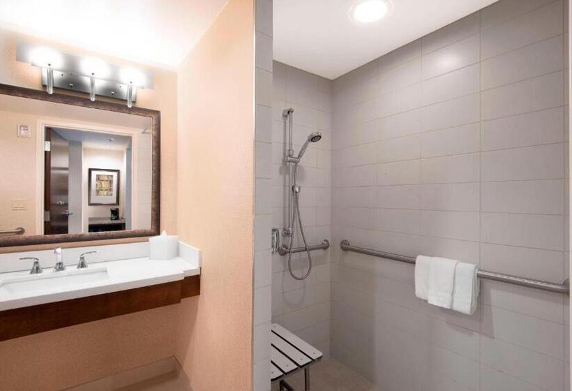 Номер Стандарт Двуспальная Кровать, Denver Marriott Westminster