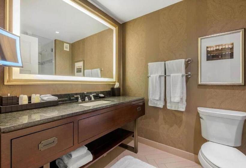 Mozgáskorlátozott Suite, Omni Nashville