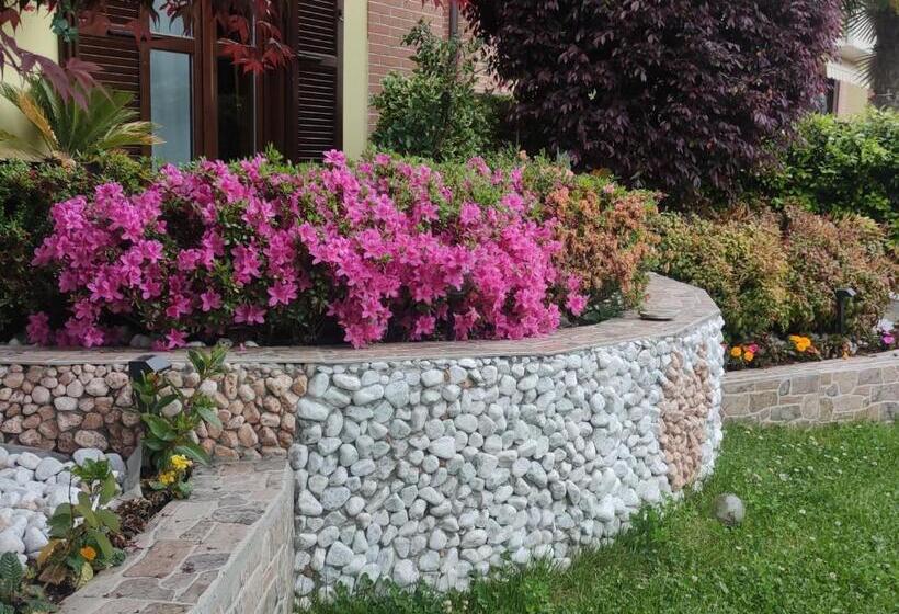 Номер Стандарт, New Home