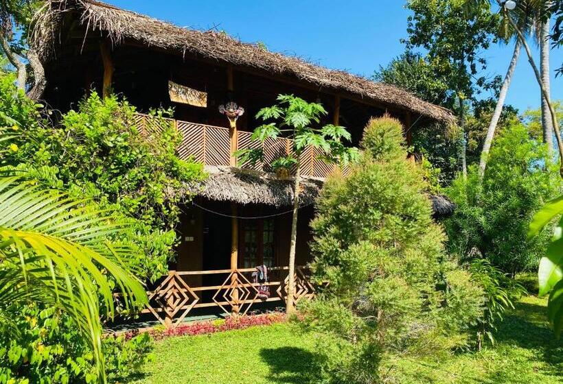 חדר סטנדרט עם טרסה, Sigiri Lion Eco Palace