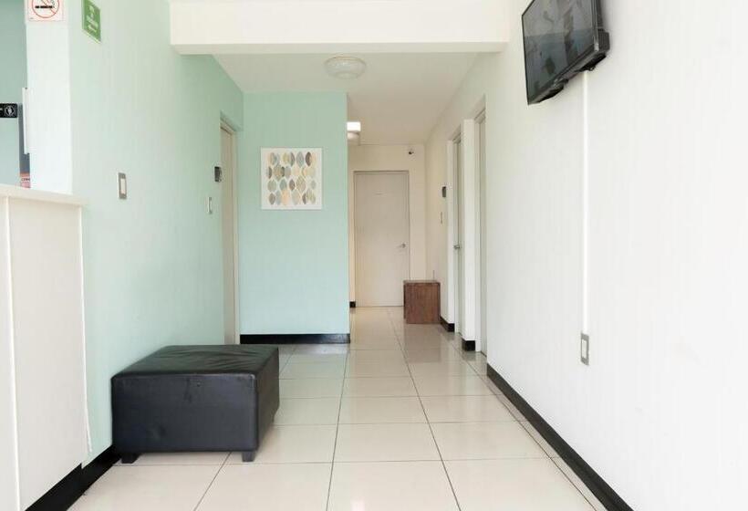 اتاق استاندارد, Esencia Hostel Terminal Oaxaca
