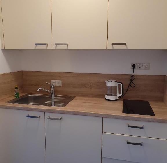 Номер Стандарт, Inselkern Einraum Apartments