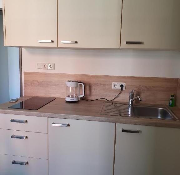 Номер Стандарт, Inselkern Einraum Apartments