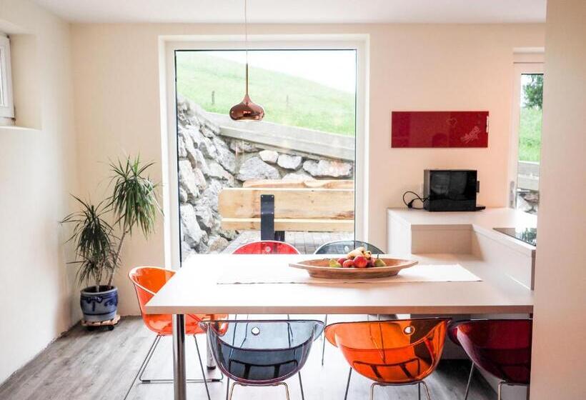 آپارتمان 1 خوابه با تراس, Chesa Montana