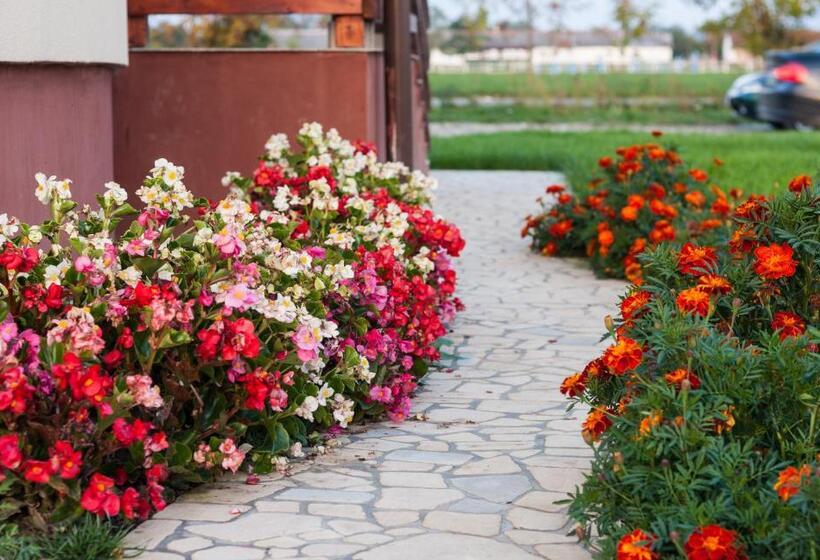 اتاق استاندارد سه نفره, Pensiunea Nobila