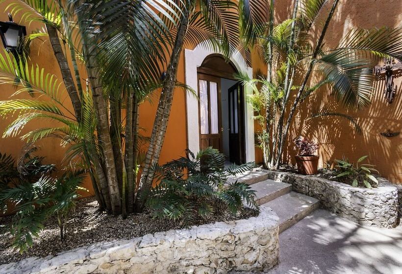Pokój Standard, Casa De Las Flores