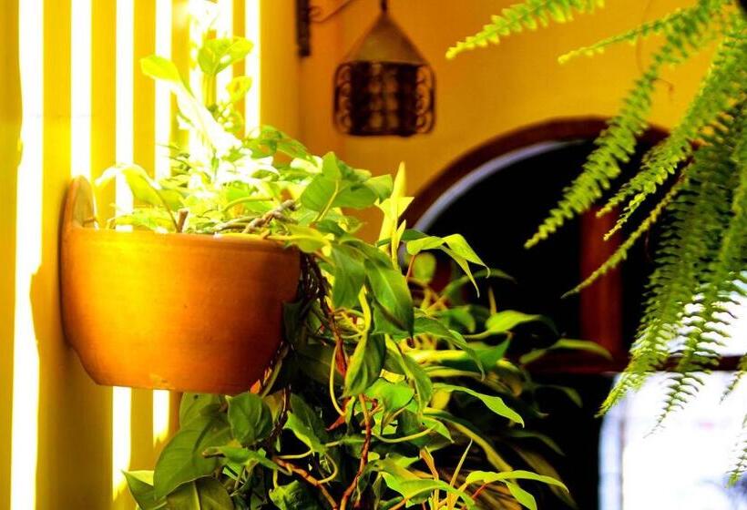 חדר סטנדרט חדר אמבטיה משותף, La Guaca Hostel Santa Marta