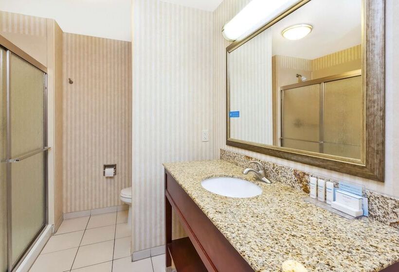 Номер Стандарт Адаптированный для Инвалидов, Hampton Inn Detroit/southgate