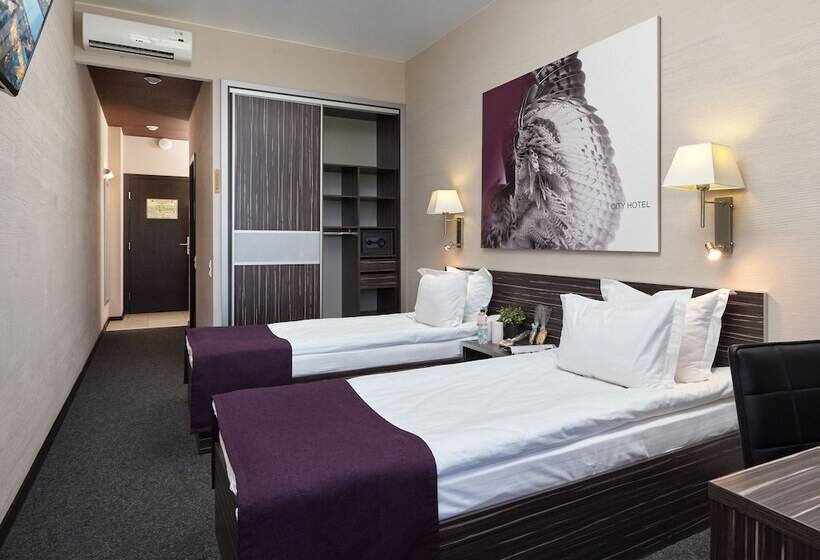 스탠다드 룸, City Hotel Sova