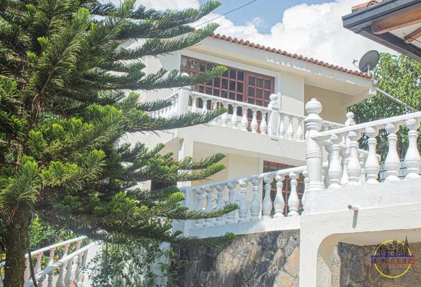 수피리어 룸, Finca Londres