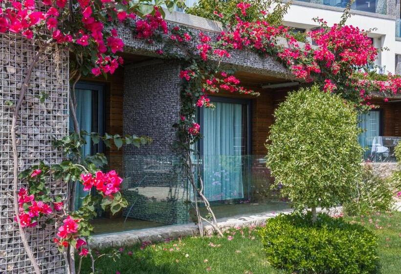 اتاق لوکس, Costa Farilya Special Class Hotel Bodrum