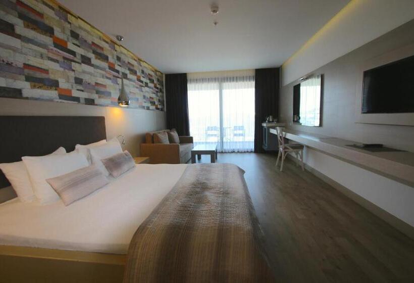 اتاق لوکس, Costa Farilya Special Class Hotel Bodrum