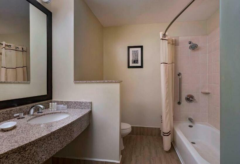 חדר סטנדרט עם מיטת קינג, Courtyard By Marriott San Salvador