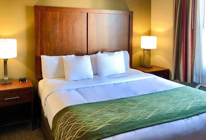 Люкс, Comfort Inn Ogden Near Event Center