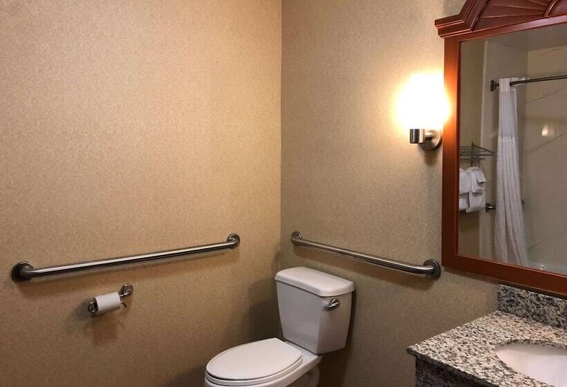 Люкс Адаптированный для Инвалидов, Comfort Inn Ogden Near Event Center