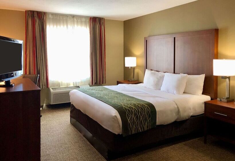 Люкс Адаптированный для Инвалидов, Comfort Inn Ogden Near Event Center