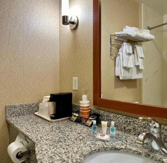 Стандартный Номер Кровать Кинг, Comfort Inn Ogden Near Event Center