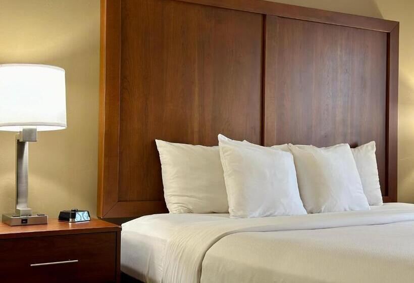 Стандартный Номер Кровать Кинг, Comfort Inn Ogden Near Event Center
