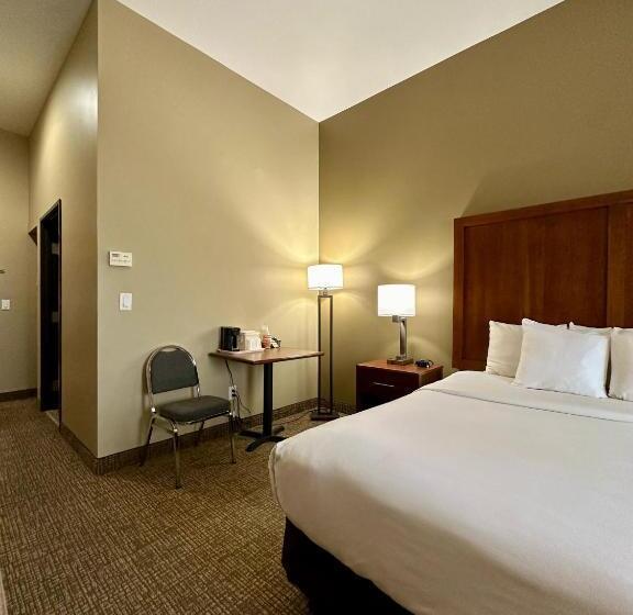 Номер Стандарт Кровать Кинг Адаптированный для Инвалидов, Comfort Inn Ogden Near Event Center