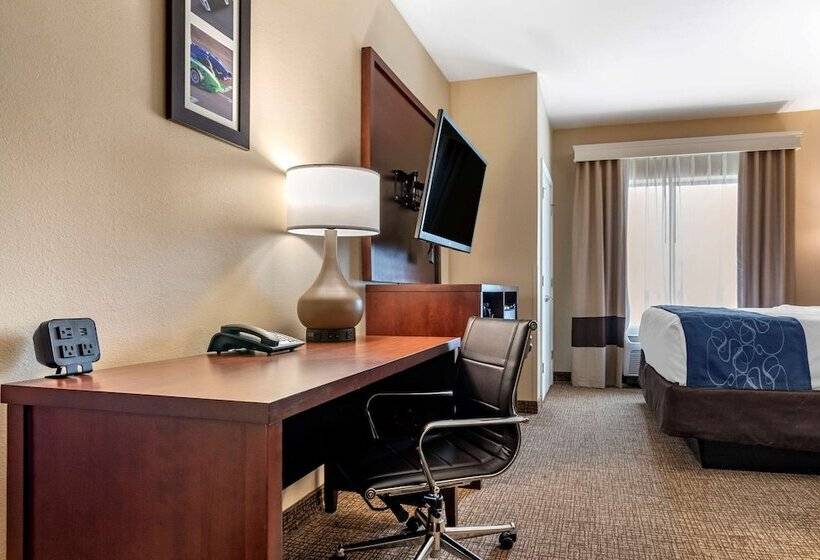 스위트, Comfort Suites Pell City I 20 Exit 158