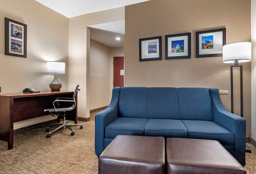 스위트, Comfort Suites Pell City I 20 Exit 158