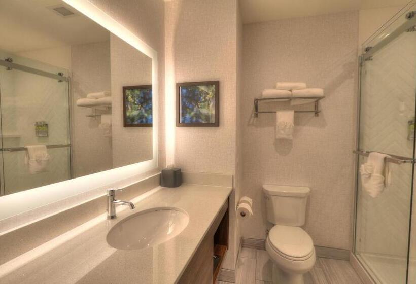 适合残疾人士使用的带超级大床的标准间, Holiday Inn & Suites Pigeon Forge Convention Center, An Ihg